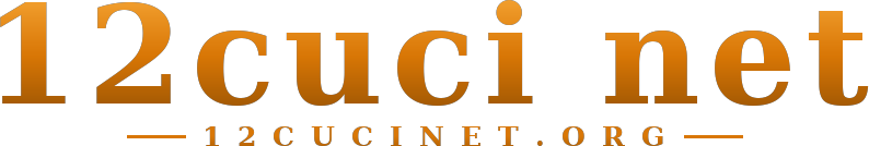 12cuci net logo